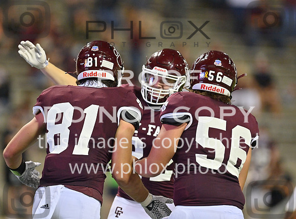 DLS_8386