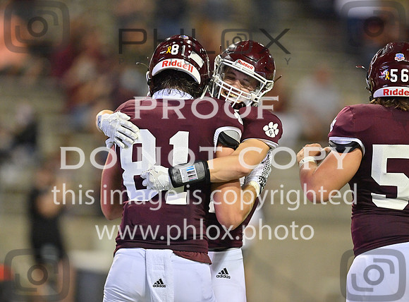 DLS_8387