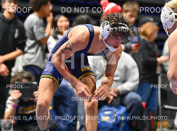 DLS_8414