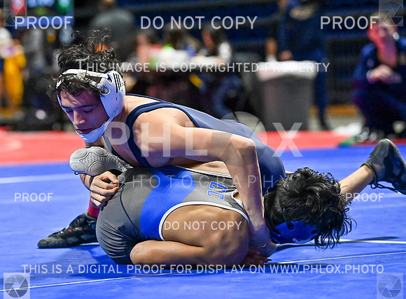 DLS_7327