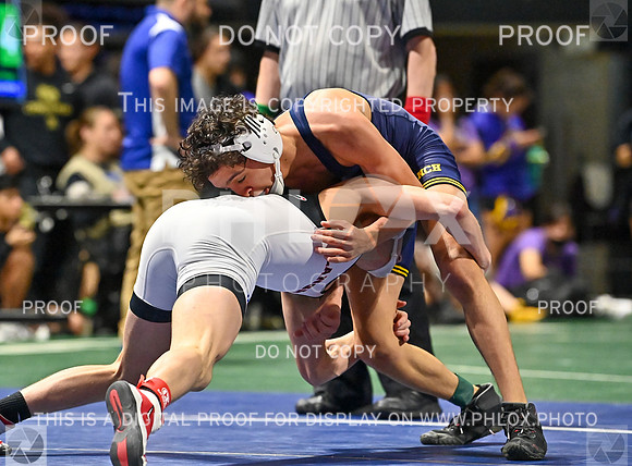 DLS_8422