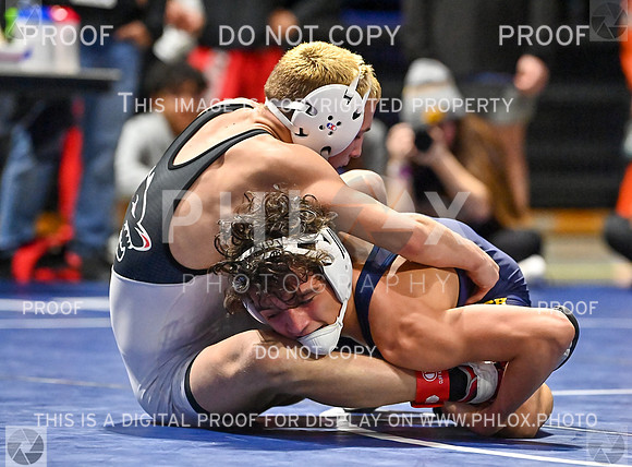 DLS_8427