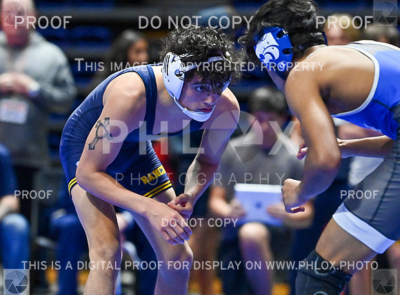 DLS_7375