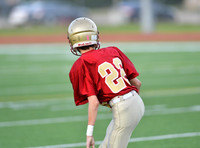 TOM_9462