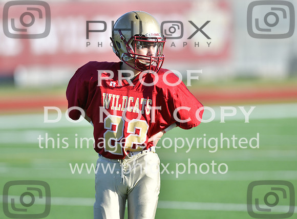 TOM_9031