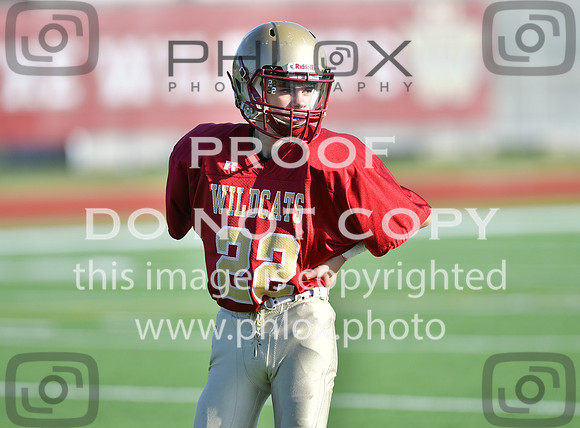 TOM_9029