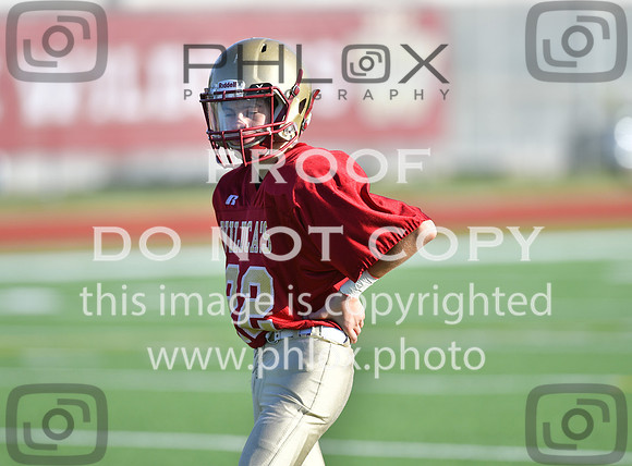 TOM_9033