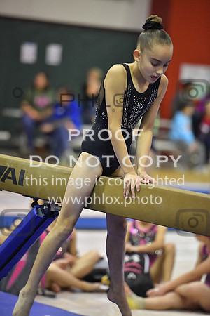 D5K_7975