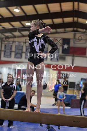 D85_3036