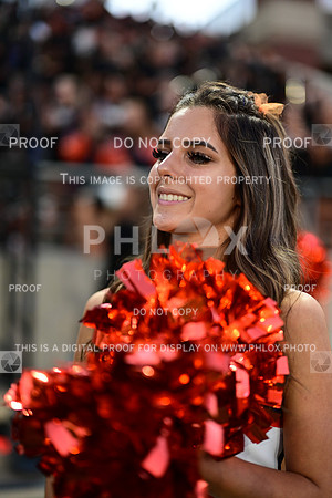 TOM_3041