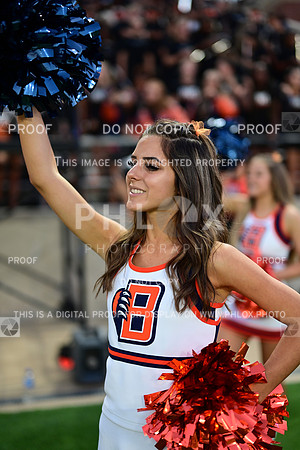 TOM_3038