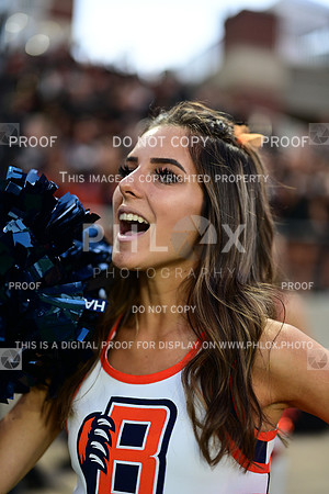 TOM_3046