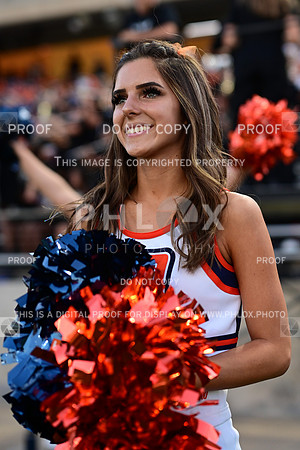 TOM_2814