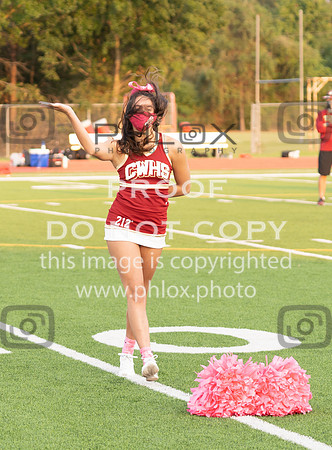 CAR00699