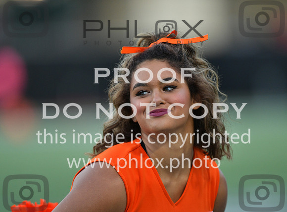 TOM_5401