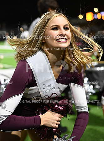 DLS_7725