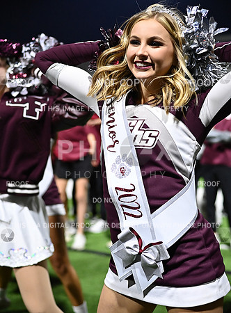 DLS_7360
