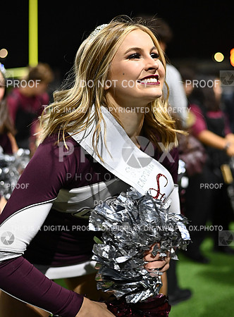 DLS_7727