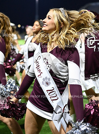 DLS_7842