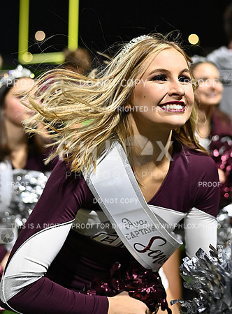 DLS_7713