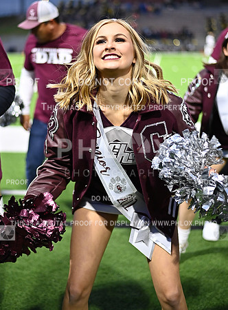 DLS_6302