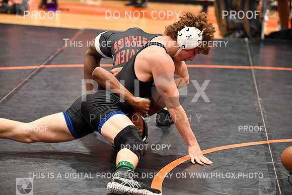 RAY_0060