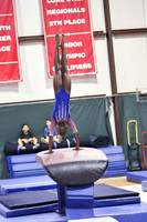 Woodlands Gymnastics Academy