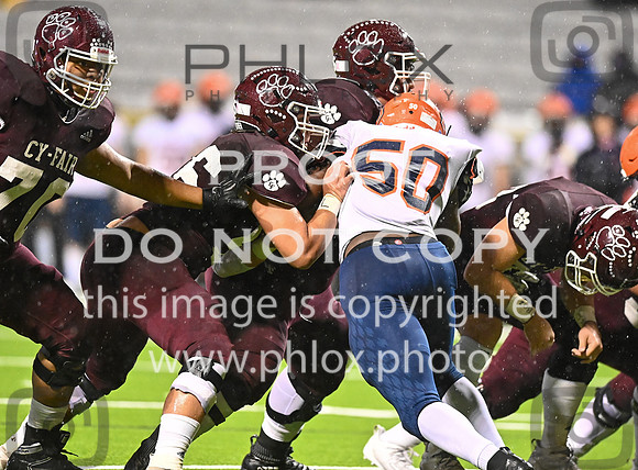 DLS_8545