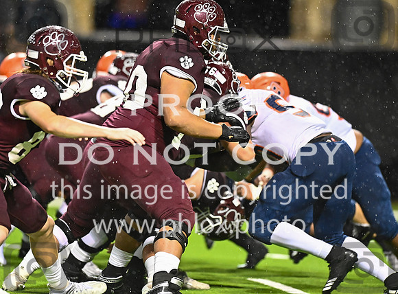 DLS_8756