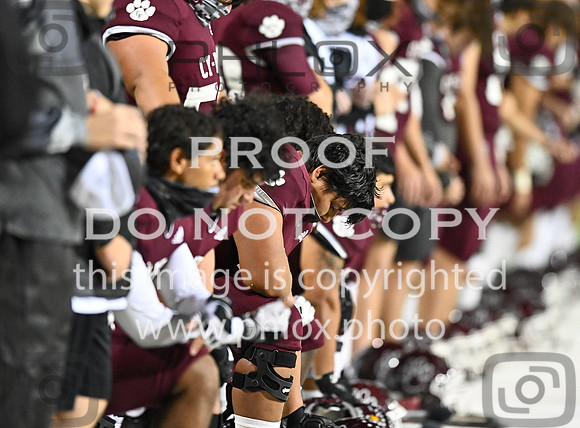 DLS_8216