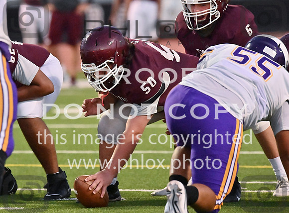 DLS_8082