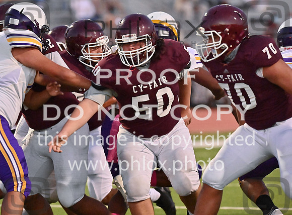 DLS_8089