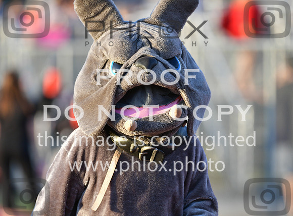 TOM_3088-2