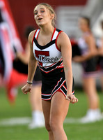TOM_3157-2