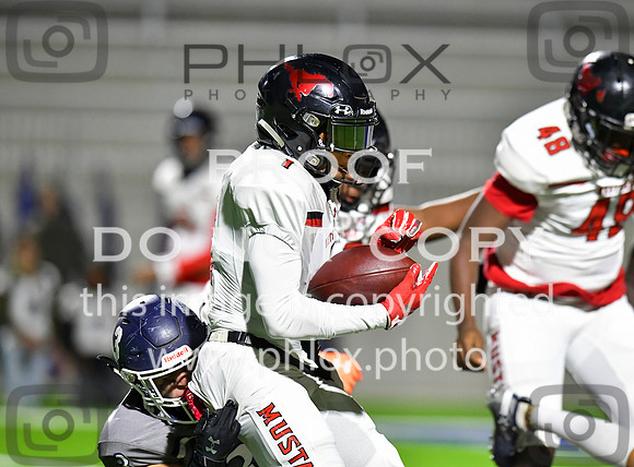 ROB_8141
