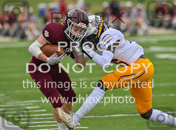 DLS_0056