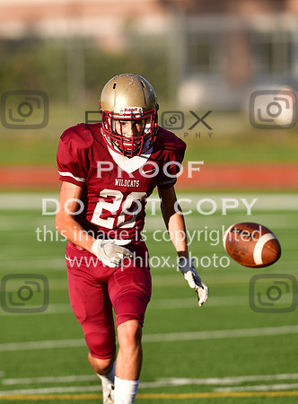 TOM_3849