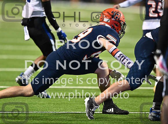 DLS_4023