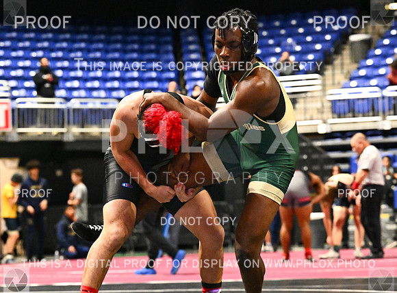 DLS_4161