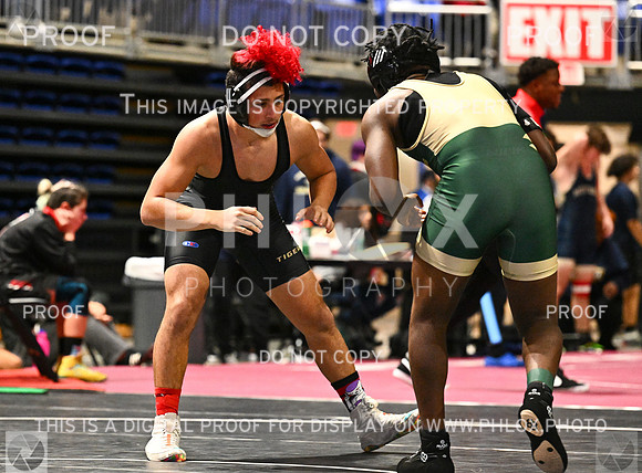 DLS_4098