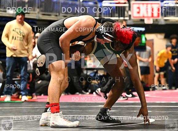 DLS_4157