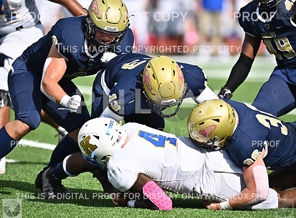 DLS_8977