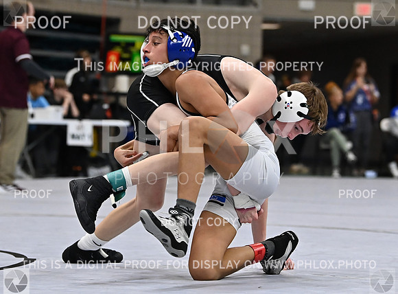 DLS_1320