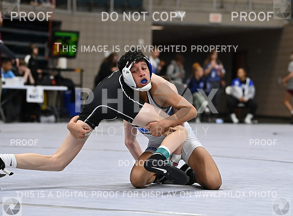DLS_1318
