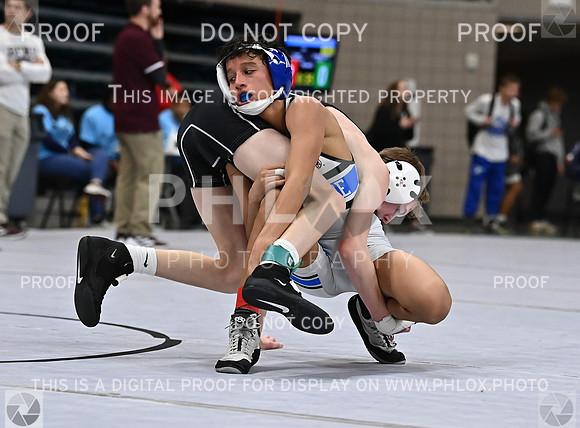 DLS_1322
