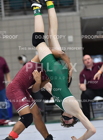 JCL_9484