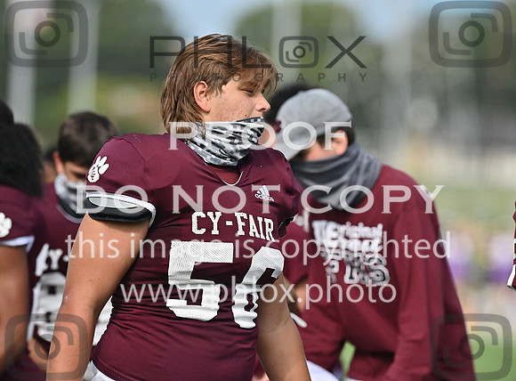 DLS_0955