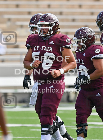 DLS_9619