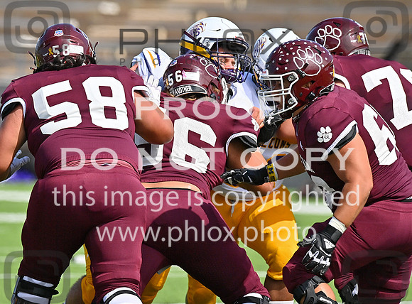 DLS_9387