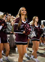 DLS_1203